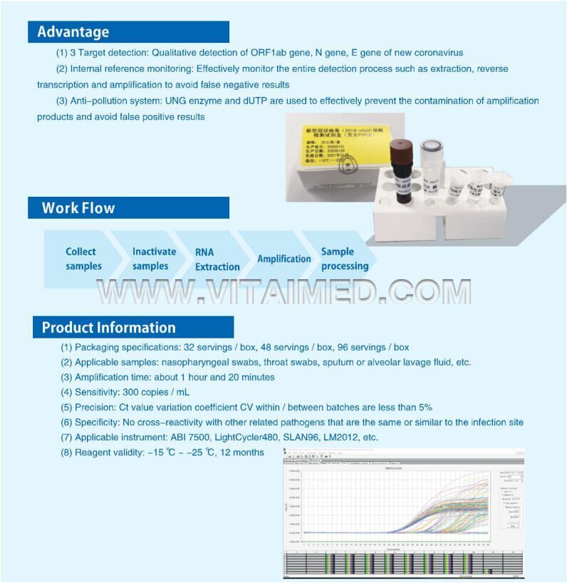 2019-Novel Coronavirus (2019-nCoV) RT-PCR Detection Kit